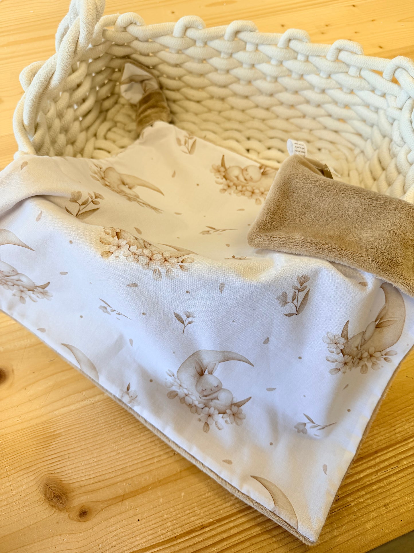 Nanin lapin sur la lune