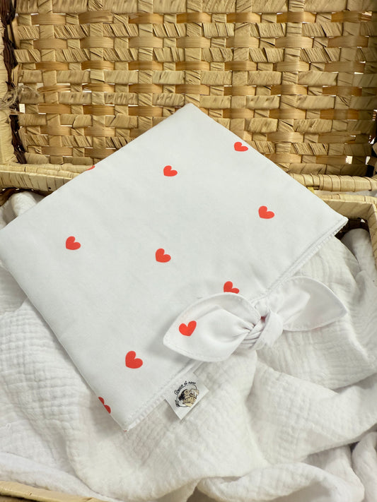 Pochette à livre poche coeurs